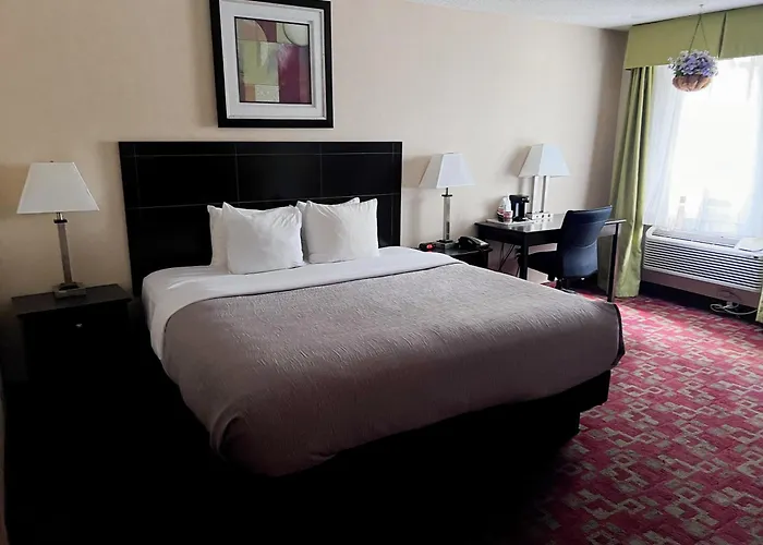 Quality Shelburne -